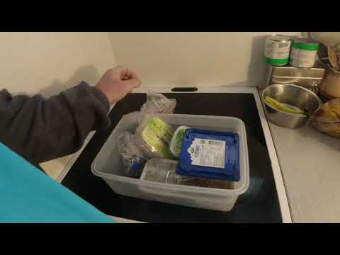 MongoTV_6173 - MADSVIN OG GROVÆDER PÅ YOUTUBE