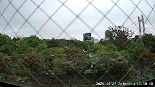 東京都江東区平野ライブカメラ Tokyo Koto Live camera.world.cam live webcam