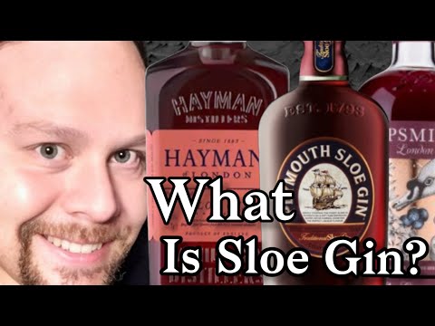 PLYMOUTH SLOE Gin Fructat Macerat in Porumba video