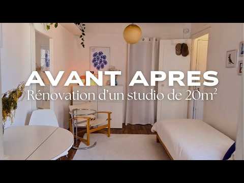 Renovation of a 20m2 studio in Paris (Before - After, Space & Budget Optimization)
