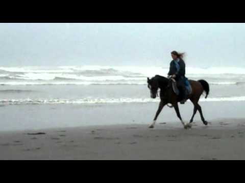 Wajiih El Nefous Ocean Beaches 2012