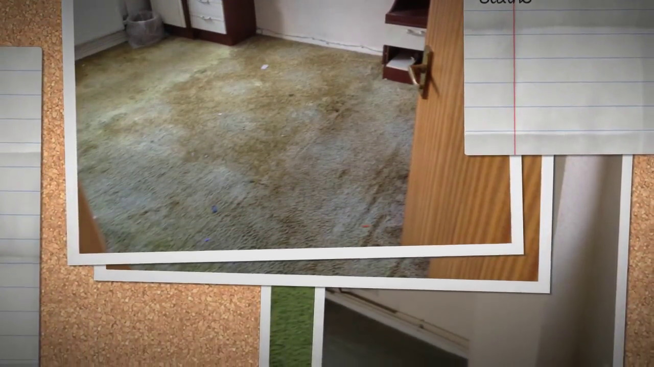 Company video FITZ2KLEEN