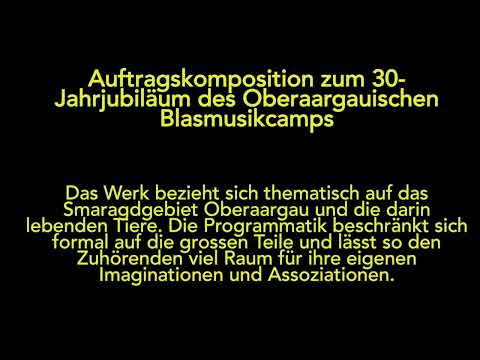//www.youtube.com/embed/a6DbIELeVd8?autoplay=1