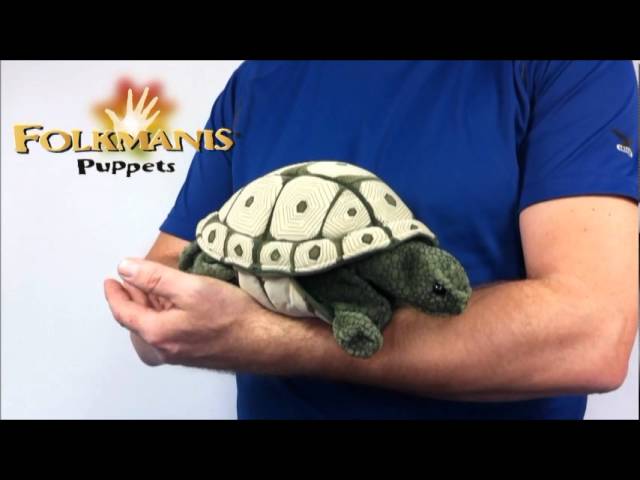 Video Teaser für 2181 FOLKMANIS Tortoise