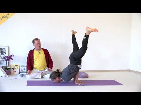 Gefiederte Pfau-Haltung (Pincha Mayurasana) - zwei Variationen - Yoga Asana Lexikon