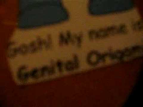 Genital Origami - What in the world
