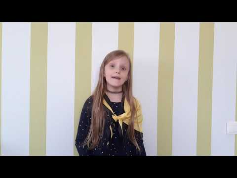 Andreea Negru - Tara Mea