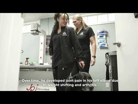 Drake’s Journey: Managing Chronic Joint Pain and Osteoarthritis with Spryng