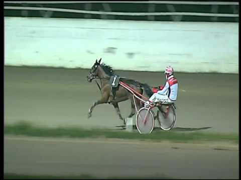 Trotto 14/02/2016 - Minitrotter