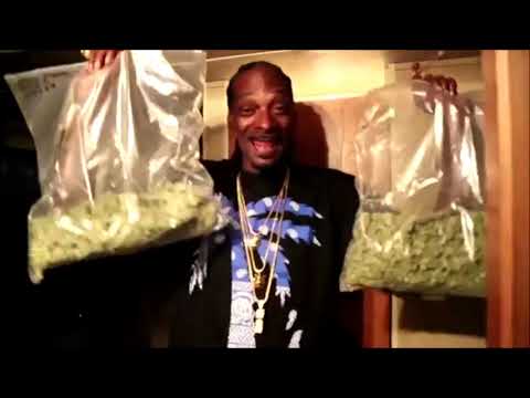 OLLIEPIOTRAS x GOGUŚ - TEHACE