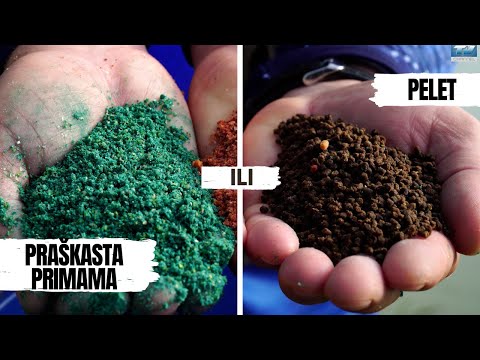 Praškasta hrana ili Pelet - Šta je bolje?