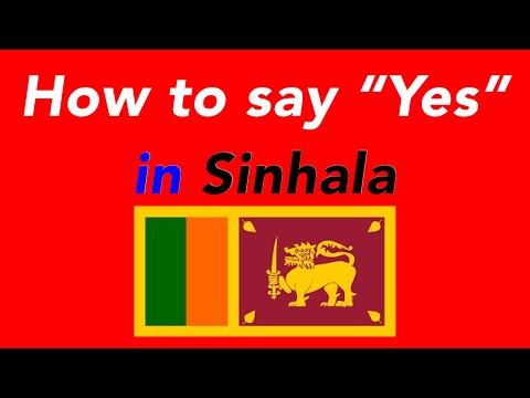 How to say “Yes” in Sinhala | How to speak “Yes” in Sinhala
