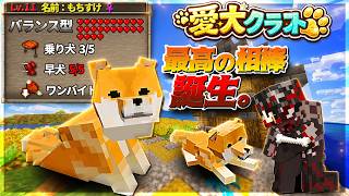 【マイクラ】最強の愛犬を育てる物語、始まります。【愛犬クラフト #1】