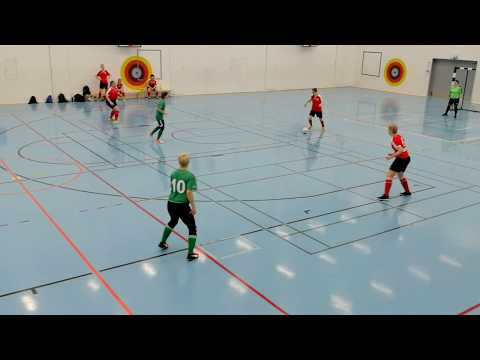 15.2.2020 PetPet - FCV/PuNaiset (0-1), naisten harrastefutsal ykkönen