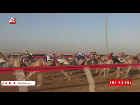  ش 12 (عزام) لـ سعيد مسلم طرشوم العامري 2:08 , شارة الصندوق 2026/06/06 فطامين الروضة   