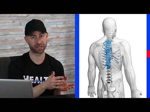 How to Evaluate Low Back Pain [From a PT]
