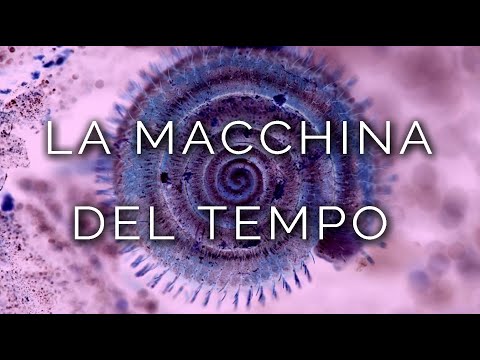 1531-IT Tommy, LA MACCHINA DEL TEMPO - Ipnosi Esoterica ∞ Lucio Carsi