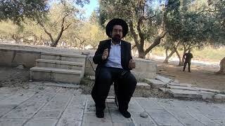 יום עליית הרמב״ם להר הקודש | הרב אליהו ובר (ישיבת הר הבית) - התמונה מוצגת ישירות מתוך אתר האינטרנט יוטיוב. זכויות היוצרים בתמונה שייכות ליוצרה. קישור קרדיט למקור התוכן נמצא בתוך דף הסרטון יום עליית הרמב״ם להר הקודש | הרב אליהו ובר (ישיבת הר הבית) - התמונה מוצגת ישירות מתוך אתר האינטרנט יוטיוב. זכויות היוצרים בתמונה שייכות ליוצרה. קישור קרדיט למקור התוכן נמצא בתוך דף הסרטון