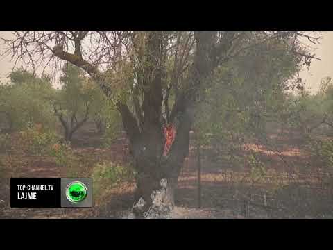 Top Channel/ “Bastardët po na djegin”, gjykata greke lë të lirë shqiptarin që mori peng emigrantët