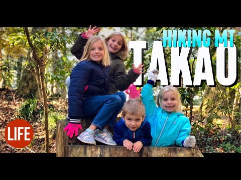 Family Hike in Tokyo at Mt Takao | Life in Japan Episode 43