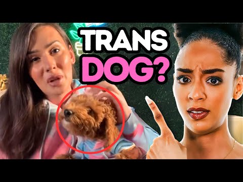 “My Dog Is Trans”