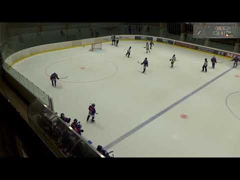 GCK Lions vs HC Ambri Piotta