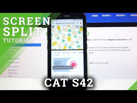 How to Use Split Screen Feature in Cat S42 - Divide Display