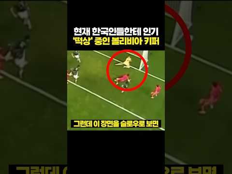 현재 한국인들한테 인기 '떡상' 중인 외국인 골키퍼 - by 스포츠중계 올킬티비