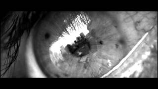 TRAILER "A ESTAS ALTURAS DE LA VIDA"