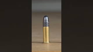 Download lagu The Silent, Deadly .22 Long Rifle mp3 Download lagu The Silent, Deadly .22 Long Rifle mp3