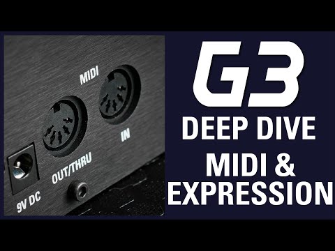 G3 MIDI and Expression Pedals - TheGigRig G3 Deep Dive