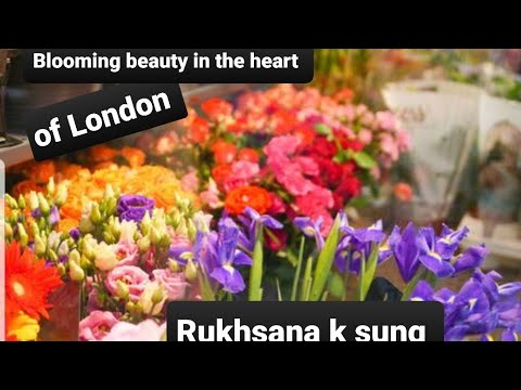 Blooming beauty in the heart of London | Beautiful Flowers of London Rukhsana k sung