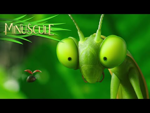 THE FIRST IMAGES OF THE NEW FILM ARE ONLINE!