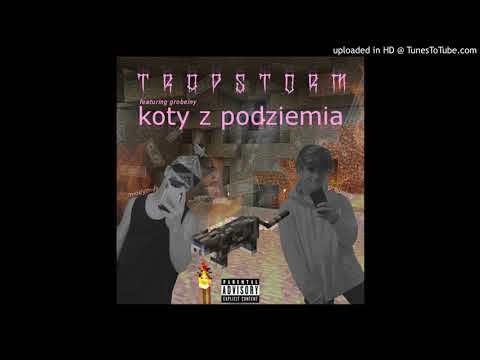 młodymiły x grobelny - koty z podziemia