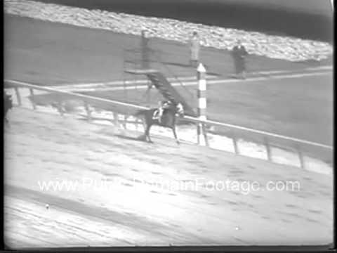 30th Running of the Wood Memorial horse racing Jamaica newsreel archival stock footage