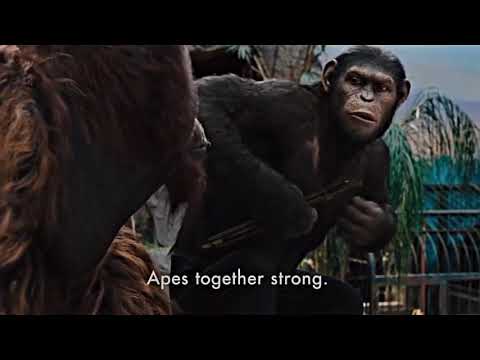 Apes together strong *HD*