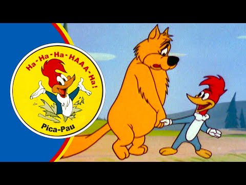 Pica-Pau Faz um Novo Amigo | 2.5 Horas de Episódios Antigos | Pica-Pau em Português