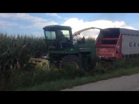 Chopping Corn 2014