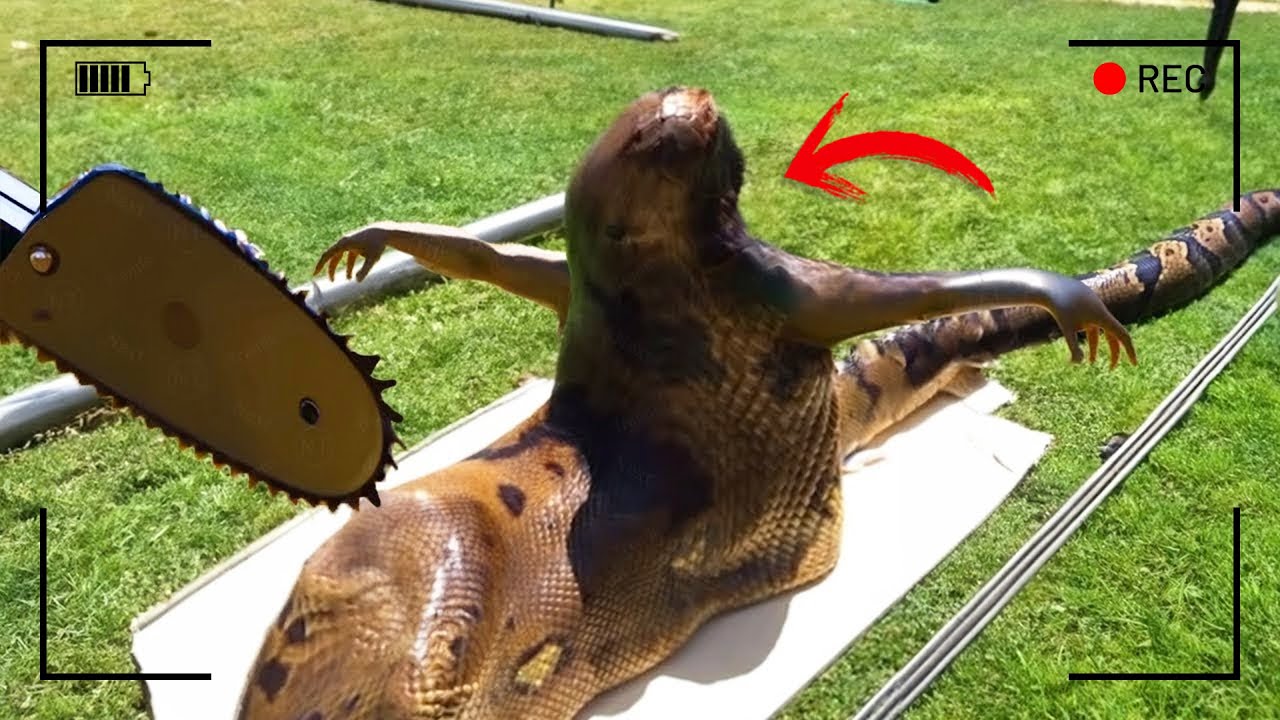 هذه الأحداث الغريبة مازالت بدون تفسير لغاية اليوم