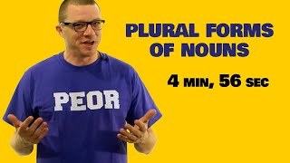 Plural Forms of Nouns