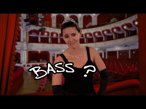 We Love Opera! Who is the bass at the opera?