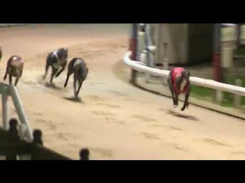 2020 CORAL CORONATION CUP - HEAT 4 - T1 ROXHOLME JIM