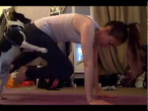 Dog Humps Yoga Girl Fail