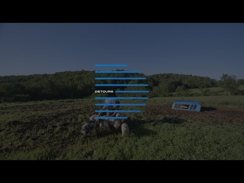 Detours: meat and ethics in Kansas City