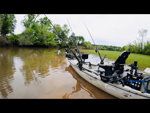 Shallow Water INSANITY!!! Action Packed Carp Fishing Adventure | RAEV Bullet X