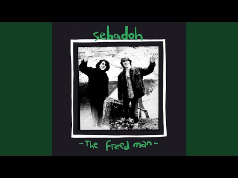 Punch in the Nose - Sebadoh