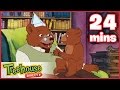 Little Bear Mother Nature Dance Steps Who Am I Ep 37