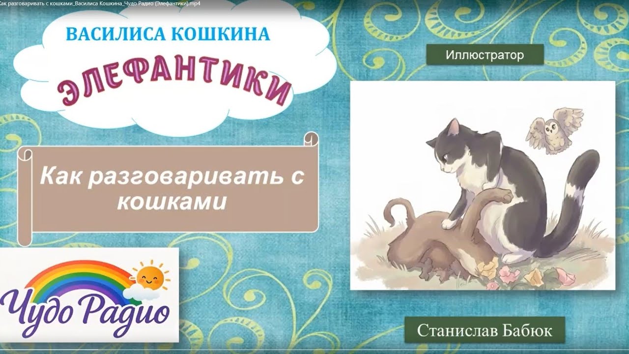 Как разговаривать с кошками. Элефантики. История 40