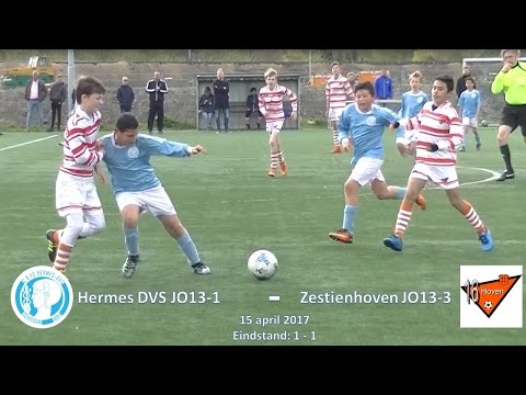 Samenvatting Hermes DVS JO13-1 - Zestienhoven JO13-3