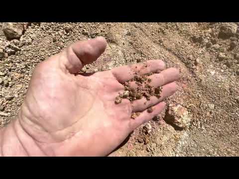 Metal detecting placer Pete’s GPAA claim